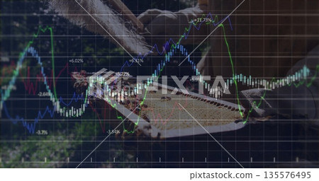 Gloved hands holding honeycomb frame full of bees in garden apiary, with financial chart overlay 135576495