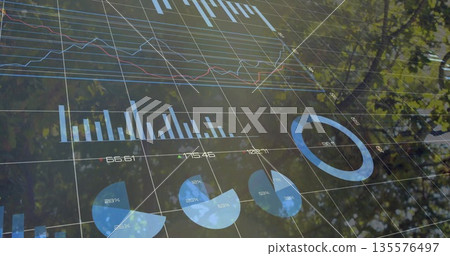 Displaying bar and line charts, pie charts and blue donut chart under tree canopy, copy space Displaying bar and line charts, pie charts and blue donut chart under tree canopy, copy space 135576497