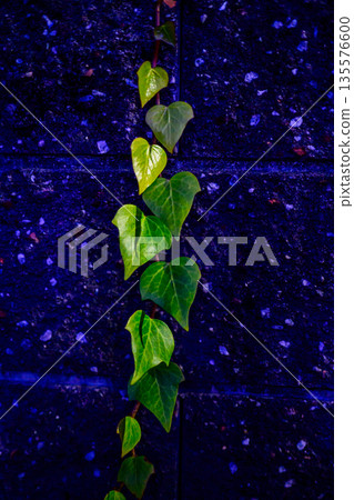 A single life wrapped in light rises; a hint of green floating in the darkness. 135576600