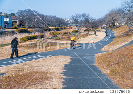 東京城市景觀：八王子市冬季長廊 135576626