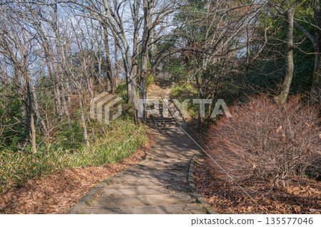 A promenade leading from the Amakashigaoka Observatory to the Kawahara Observatory. Amakashigaoka area of Asuka Historical Park. Asuka Village, Nara Prefecture. A promenade leading from the Amakashigaoka Observatory to the Kawahara Observatory. Amakashigaoka area of Asuka Historical Park. Asuka Village, Nara Prefecture. 135577046