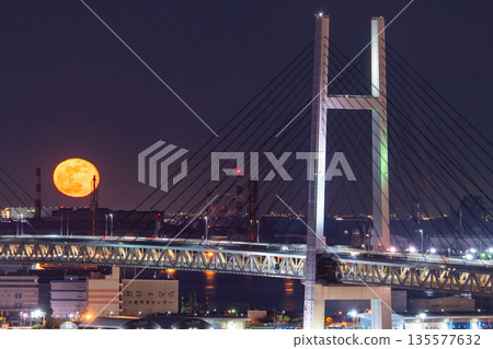 月升時的橫濱灣大橋，神奈川縣 135577632