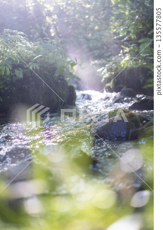 A scene of light shining on a clear stream in the forest - Oyamakiyazawa mountain stream A scene of light shining on a clear stream in the forest - Oyamakiyazawa mountain stream 135577805
