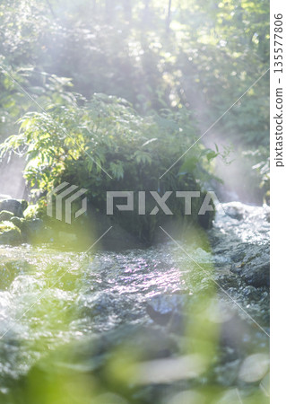 A scene of light shining on a clear stream in the forest - Oyamakiyazawa mountain stream A scene of light shining on a clear stream in the forest - Oyamakiyazawa mountain stream 135577806