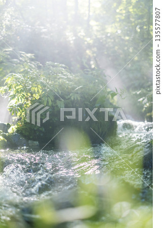 A scene of light shining on a clear stream in the forest - Oyamakiyazawa mountain stream A scene of light shining on a clear stream in the forest - Oyamakiyazawa mountain stream 135577807