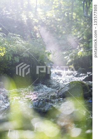 A scene of light shining on a clear stream in the forest - Oyamakiyazawa mountain stream 135577808