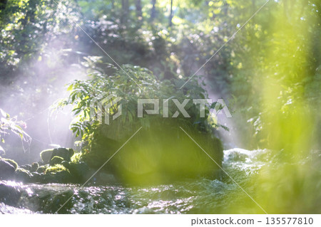 A scene of light shining on a clear stream in the forest - Oyamakiyazawa mountain stream A scene of light shining on a clear stream in the forest - Oyamakiyazawa mountain stream 135577810
