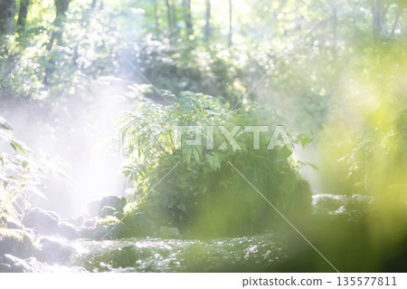 A scene of light shining on a clear stream in the forest - Oyamakiyazawa mountain stream A scene of light shining on a clear stream in the forest - Oyamakiyazawa mountain stream 135577811