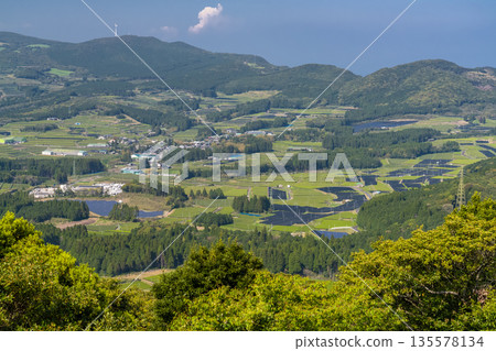 <Kagoshima Prefecture> Vast tea plantation landscape, Minamikyushu City 135578134