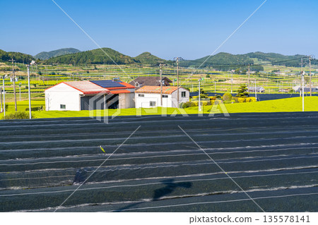 <鹿兒島縣> 南九州市廣闊的茶園景觀 <鹿兒島縣> 南九州市廣闊的茶園景觀 135578141