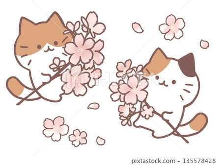 Cats holding cherry blossom branches Cats holding cherry blossom branches 135578428
