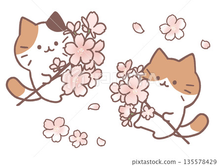 貓咪叼著櫻花枝 貓咪叼著櫻花枝 135578429
