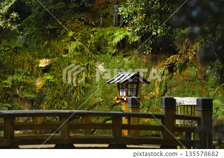 The mossy summer scenery of Todoroki Valley, with its spring water and lanterns The mossy summer scenery of Todoroki Valley, with its spring water and lanterns 135578682