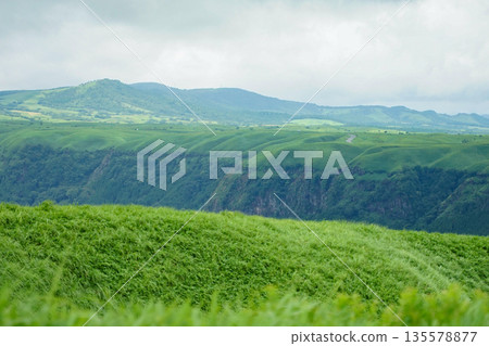 麻生太郎的荒野 135578877