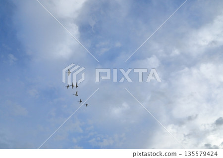 A view of Lake Hyoko in Agano with a flock of swans flying in the sky 135579424