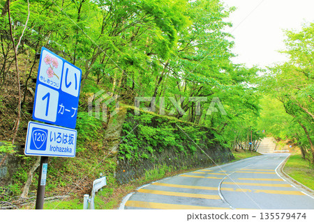 Tochigi Prefecture, Early Summer Greenery, Irohazaka 135579474