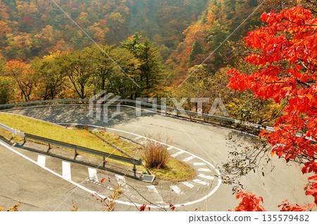 Tohoku prefecture autumn Okunikko Irohazaka 135579482