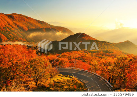 東北縣立秋葉ku坂 135579499