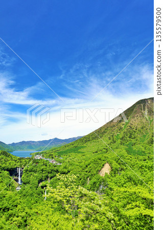 櫪木縣 初夏的藍天 鮮綠的奧日光 135579500