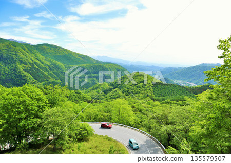 Tochigi Prefecture Early summer fresh green Oku-Nikko Irohazaka 135579507