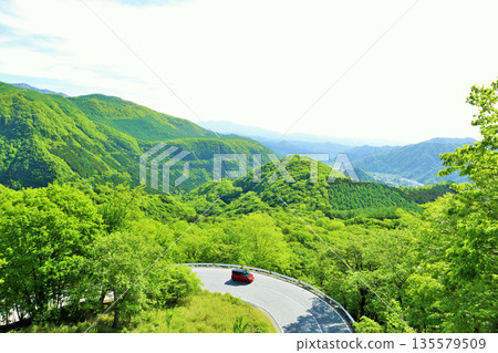 Tochigi Prefecture Early summer fresh green Oku-Nikko Irohazaka 135579509
