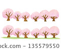 Cute illustration of a row of cherry blossom trees 135579550