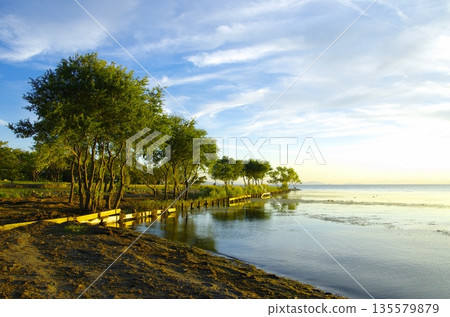 A tranquil landscape spreading along the shores of Lake Biwa A tranquil landscape spreading along the shores of Lake Biwa 135579879