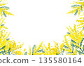 Mimosa watercolor illustration frame 135580164