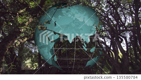 Displaying semi-transparent digital globe overlay hovering over forest, with latitude grid lines 135580784