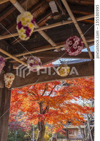 Komyo-ji Temple Flower Water Basin Autumn Foliage Season Komyo-ji Temple Flower Water Basin Autumn Foliage Season 135580995