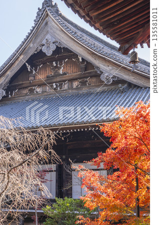 光明寺，禦江堂，秋季，紅葉季 135581011