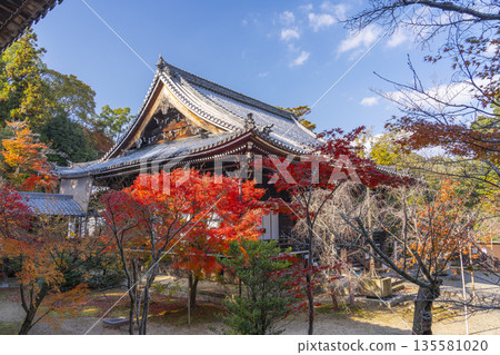 Komyo-ji Temple Amida Hall Autumn Foliage Season 135581020