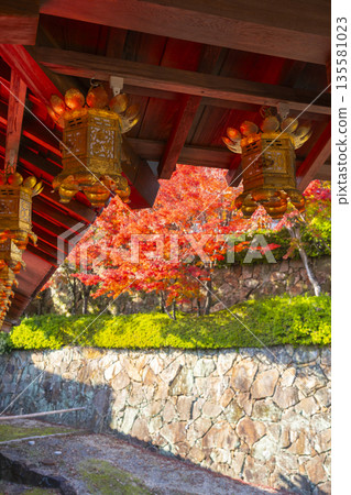 光明寺秋季賞楓季 135581023