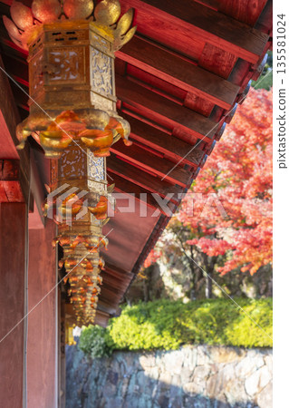 光明寺秋季賞楓季 光明寺秋季賞楓季 135581024