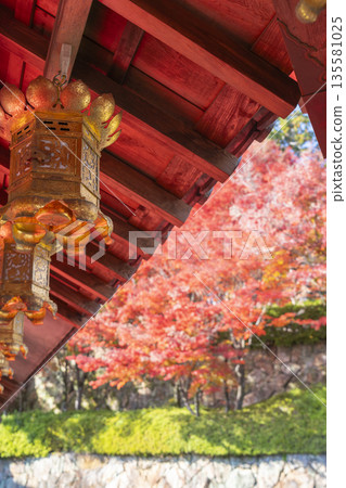 光明寺秋季賞楓季 135581025