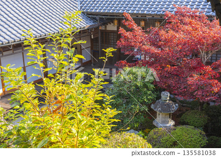Komyo-ji Temple Autumn Foliage Season Komyo-ji Temple Autumn Foliage Season 135581038
