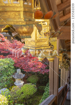 Komyo-ji Temple Autumn Foliage Season Komyo-ji Temple Autumn Foliage Season 135581039