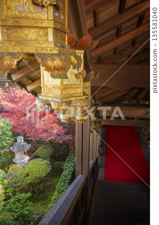 光明寺秋季賞楓季 光明寺秋季賞楓季 135581040