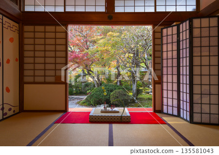 光明寺,紅葉房,庭園,秋季,秋葉季 光明寺,紅葉房,庭園,秋季,秋葉季 135581043