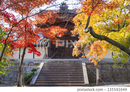 光明寺，禦門，秋季，秋葉季 135581049
