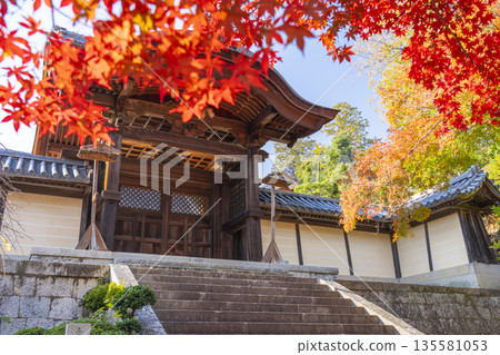光明寺,禦門,秋季,秋葉季 光明寺,禦門,秋季,秋葉季 135581053