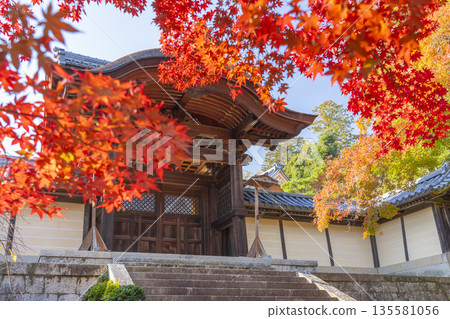Komyo-ji Temple, Imperial Gate, Autumn, Autumn Foliage Season 135581056