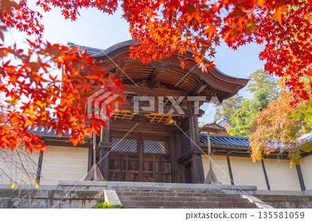 光明寺,禦門,秋季,秋葉季 光明寺,禦門,秋季,秋葉季 135581059