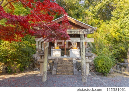 Komyo-ji Temple, guardian shrine, autumn, autumn leaves season Komyo-ji Temple, guardian shrine, autumn, autumn leaves season 135581061