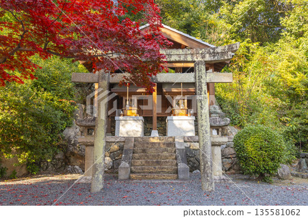 光明寺，守護神社，秋季，秋葉季節 135581062