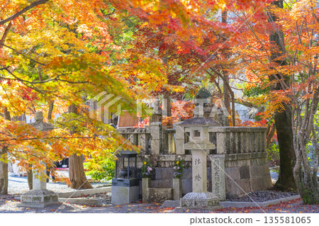 光明寺,圓光大師火葬場,秋季,秋葉 光明寺,圓光大師火葬場,秋季,秋葉 135581065