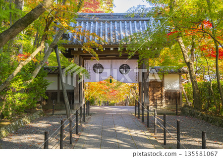 光明寺藥師門秋葉季 光明寺藥師門秋葉季 135581067