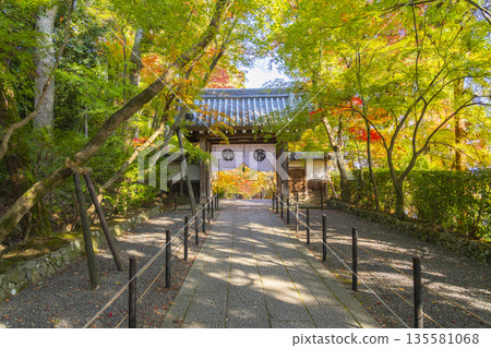 光明寺藥師門秋葉季 光明寺藥師門秋葉季 135581068