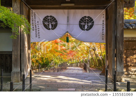 光明寺藥師門秋葉季 135581069