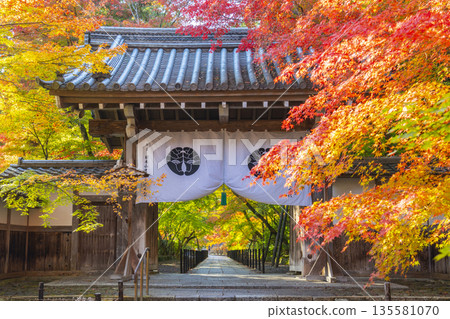 光明寺藥師門秋葉季 135581070